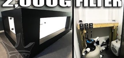 2,000G aquarium FILTRATION!! 918A4kCm2hw.jpg