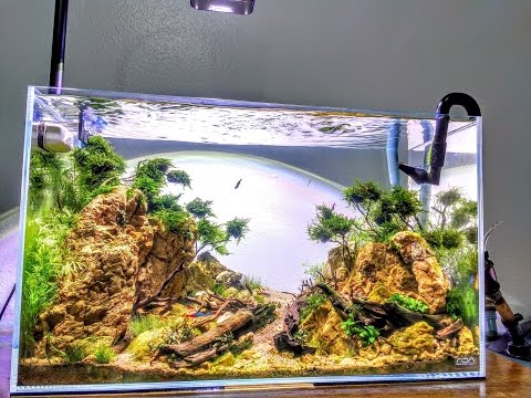 Desert Dry Creek Aquascape ADA 60P Low-Tech