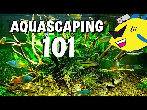 NEW AQUASCAPE!!! What Do You Think?