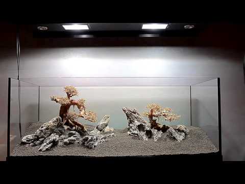 JBL AQUASCAPE By Vladimir Chirilov  Romania