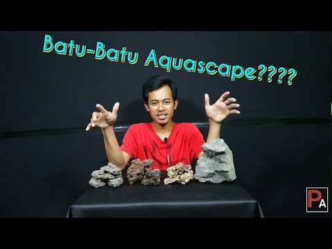 Macam macam batu aquascape untuk pemula