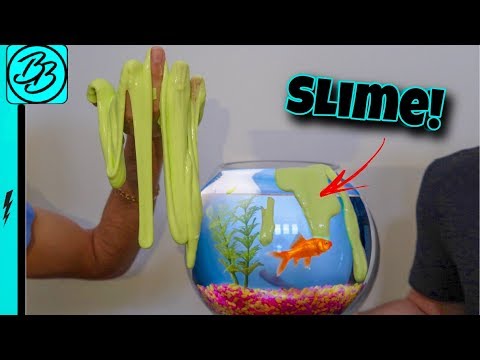 SLIME AQUARIUM With LIVE FISH! *Oddly Satisfying*