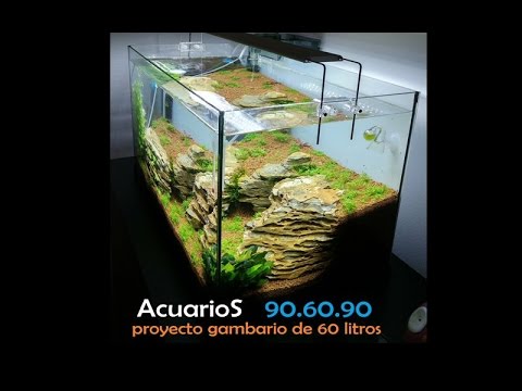 Montaje de gambario tapizado con cuba. Acuario paisajístico, aquascape. PARTE 1