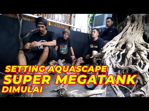 SETTING AQUASCAPE SUPER MEGATANK DIMULAI