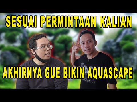 AKHIRNYA BIKIN AQUASCAPE, TEMENIN QAMUARIUM