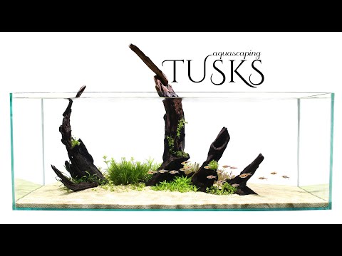 Aquascaping TUSKS (extinction)