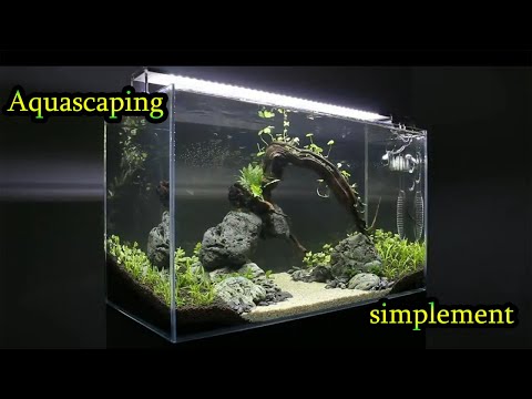 Aquascape etapes par etapes très simplement. (Aquascaping débutant).