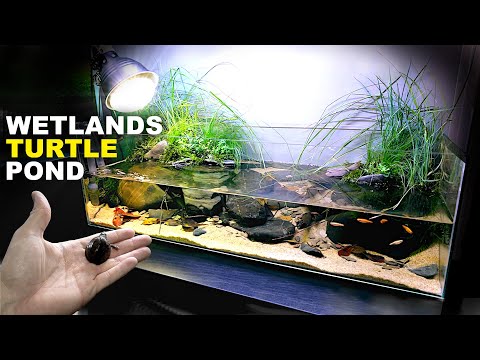 Aquascape Tutorial Turtle Aquarium Vivarium Paludarium How To