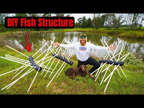 Building HUGE DIY Fish Structure For My BACKYARD Pond!!! | Aquarius ...