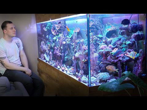 GERMAN REEF TANKS -1000 Liter SALTWATER TANK – coral reef aquarium (new aquascape) *fish + coral*