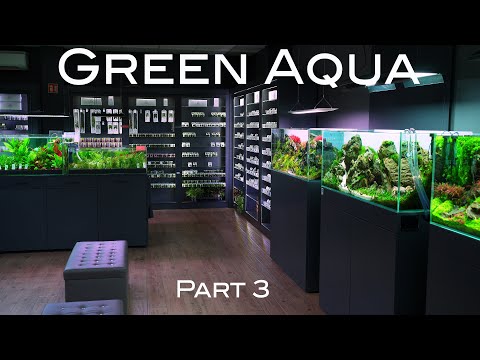 Aquascaping Planted Aquarium Gallery Green Aqua | Part 3