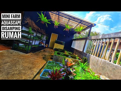 #Review farm tanaman Aquascape dirumah !!!