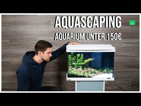 AQUASCAPE AQUARIUM FÜR UNTER 150,00€ | Aquascaping Schritt für Schritt erklährt | GarnelenTv