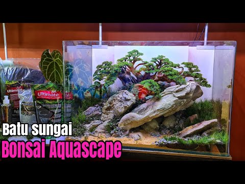#328 create an aquascape with large stones and bonsai