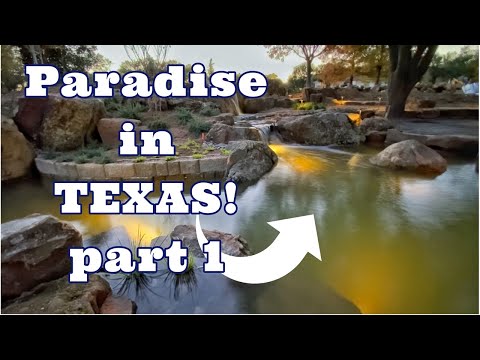 Texas POND PARADISE w/ Intake Bay Skimmer | part 1