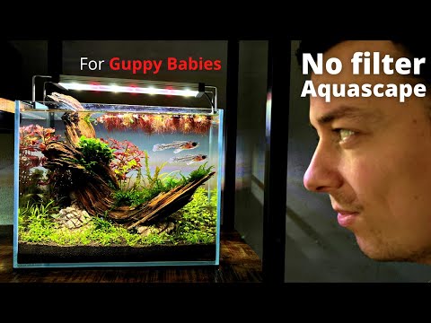 Low Tech, Low Budget, No CO2 Nano Aquascape For Guppy Babies!