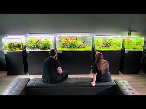 THE BIGGEST AQUASCAPE GALLERY IN THE UK – EXTENDED TOUR