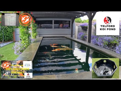 T.K.P  Telford Koi Pond   Video 73 – Pond, Fish & Filter update, Pond for sale & Upcoming Pond Visit