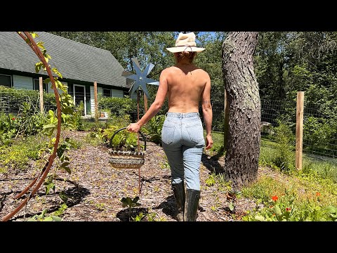 Another Water Problem | Fall Garden Planting