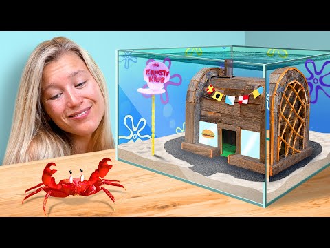 I Built the Krusty Krab for a Real Crab