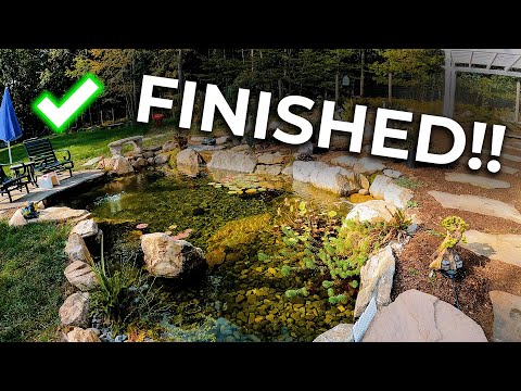 It's so surreal yet so natural! | The PARADISE POND Reveal!