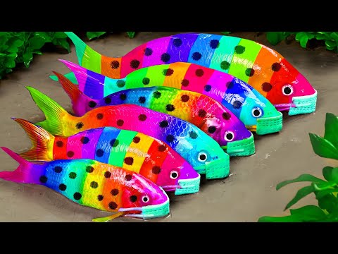 Stop motion ASMR – Catfish hunting Colorful carp koi fish – 다채로운 잉어물고기 | 거대한 개구리 – 무지개 메기/ 스톱 모션
