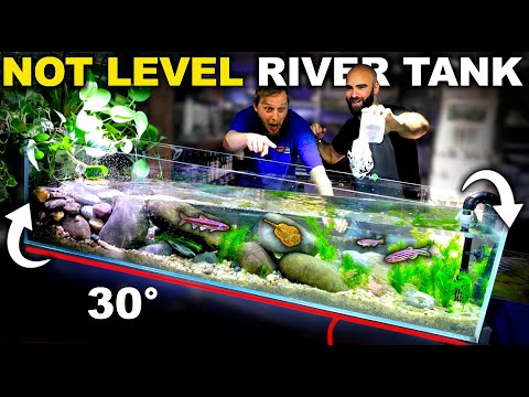 TILTED Fast Flow River Aquarium: Cold Water Setup for Super Fast Fish (Aquascape Tutorial)