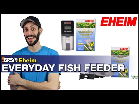 The best way to feed your reef aquarium fish when you're not home? Eheim Automatic Fish Feeder Setup
