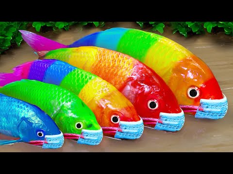 Stop Motion Cooking ASMR Colorful Koi Fish Cow, ikan & Big Frog 다채로운 잉어물고기 | 거대한 개구리 – 무지개 메기/ 스톱 모션
