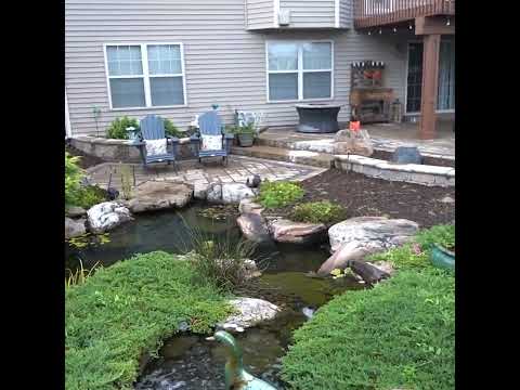 PARTY POND for Aquascape Employee!! #Shorts