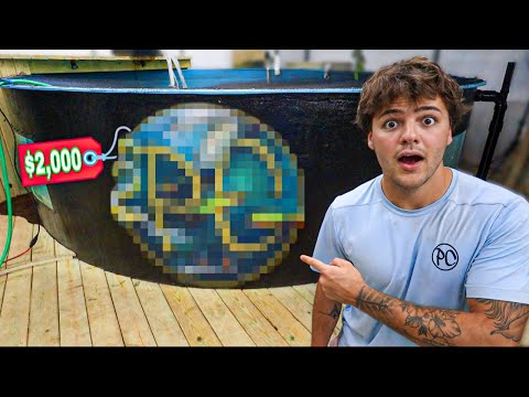 I did THIS to My 5,500G FISH POND!! (insane)