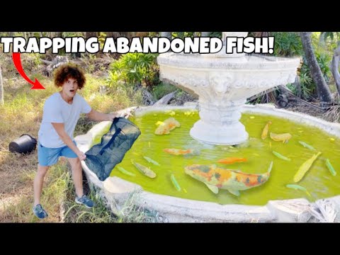 Trapping AQUARIUM FISH From ABANDONED Fountain POND!