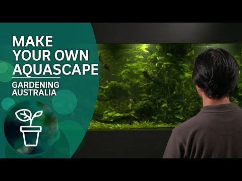 Make your own aquascape