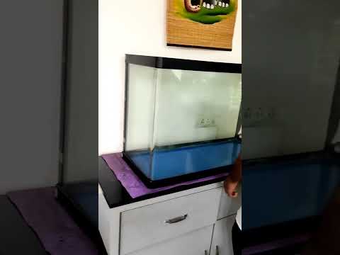 import tank set up 🤩#aquarium #fish