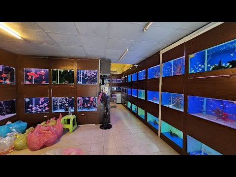 Qianhu Aquarium Fish Shop
