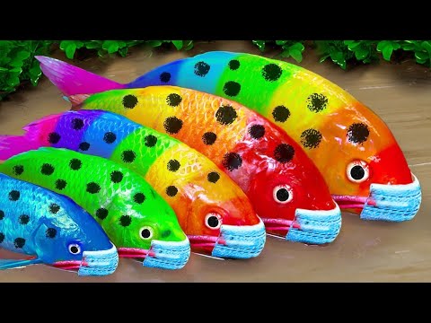 Stop motion ASMR – Catfish hunting Colorful carp koi fish  – 다채로운 잉어물고기 | 거대한 개구리 – 무지개 메기/ 스톱 모션