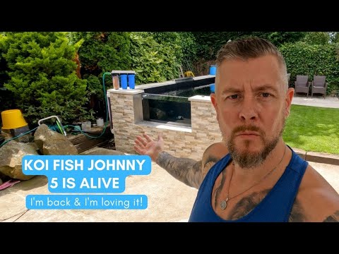 KOI FISH JOHNNY IS BACK💥 with a bang 🐠🐡🐟🍤