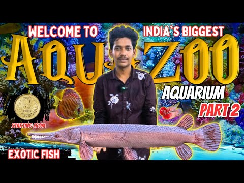 🤯இந்த மாதிரிAQUAZOO போயிருக்கீங்களா IN CHENNAI🤯#koi#fish#farming#fishfarm#trending#aquarium#kolathur