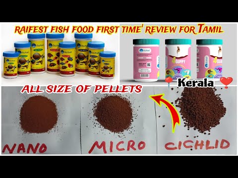 Raifest Fish Food Review In Tamil | AQUARIUM FISH FOOD REVIEW