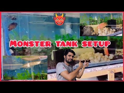 Aquarium Fish Tank Setup in Tamil | Flowerhorn tank setup | Monster Fish Tank 😲😳😳