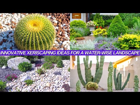 Creating an Oasis: Innovative Xeriscaping Ideas for a Water-Wise Landscape[VideoGuide][Detailed][4K]