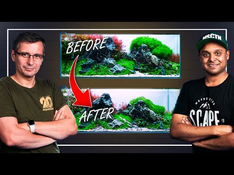 Aquarium Maintenance: Luca Galarraga's Workshop Tank | Planted Aquascaping Tips