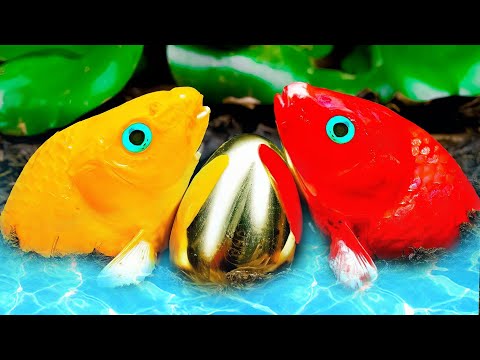 Stop Motion Fish In Mud Pirate Island – Koi Fish Caught By Crab And Eel Pirates – mischievous fish