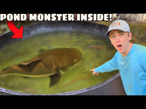 I Finally FOUND The POND MONSTER!