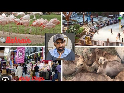 Tasneem Zoo & Garden in Bahrain Budaiyaarea,/Ashraf Vlogs Layyah/