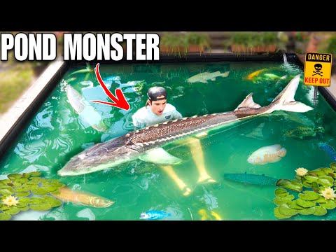 We FINALLY Caught EVERY POND MONSTER…