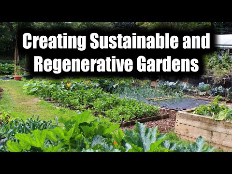 Exploring Permaculture: Creating Sustainable and Regenerative Gardens