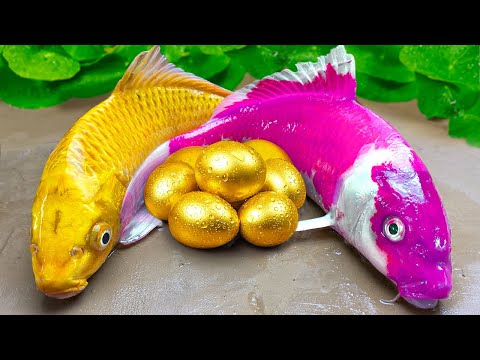 DIY Golden Egg Koi Fish Pool – Rainbow Crocodile Trap Big Frog | ASMR Catfish, Sea Crab Mukbang