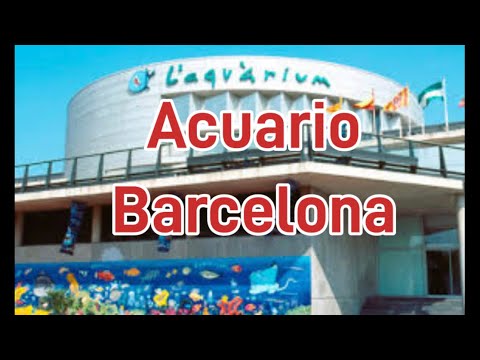 L’ aquarium Barcelona España 🇪🇸 woow un lugar increibleee live hoy 20.30 hrs