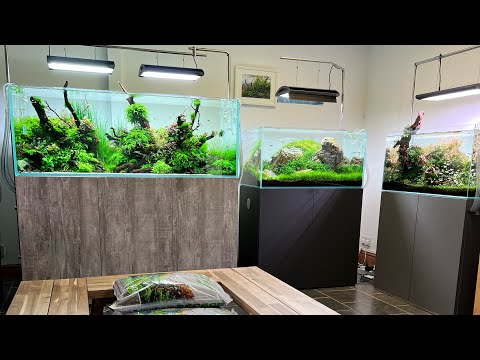 Aquascaping Showroom Update, new aquascapes, new equipment 😃💚